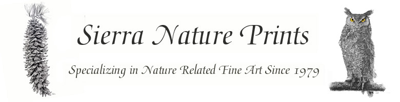 Sierra Nature Prints